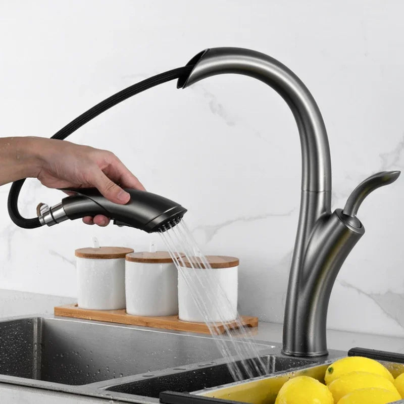 Robinet d'évier de cuisine avec design flexible et douchette