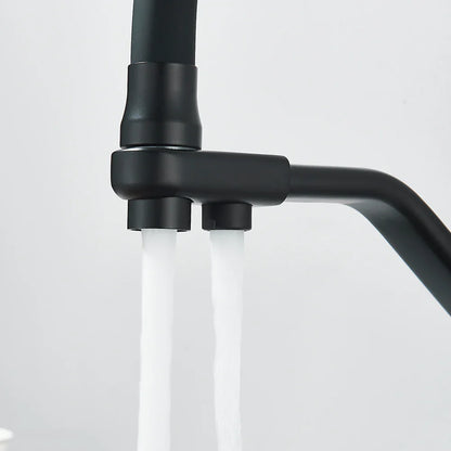 Robinet de cuisine pour évier flexible avec double robinet et purificateur d'eau