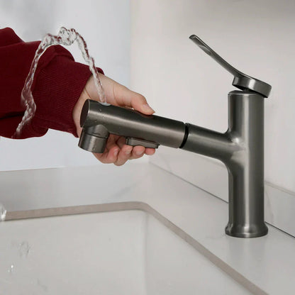 Robinet de lavabo pour salle de bain à deux jets